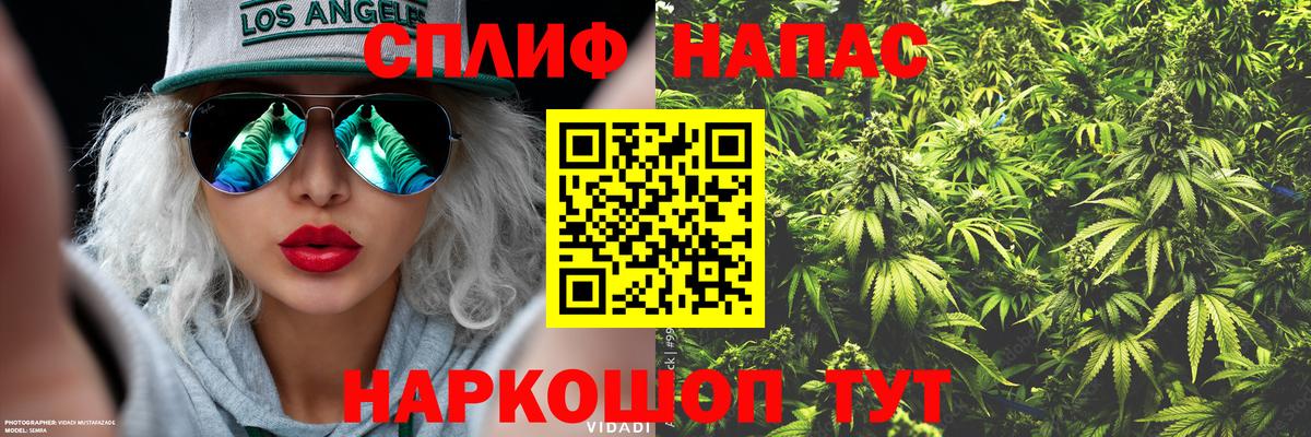 Бошки марихуана планчик  Вход с VPN  Берёзовский  Марихуана тримм  Канабис гибрид 